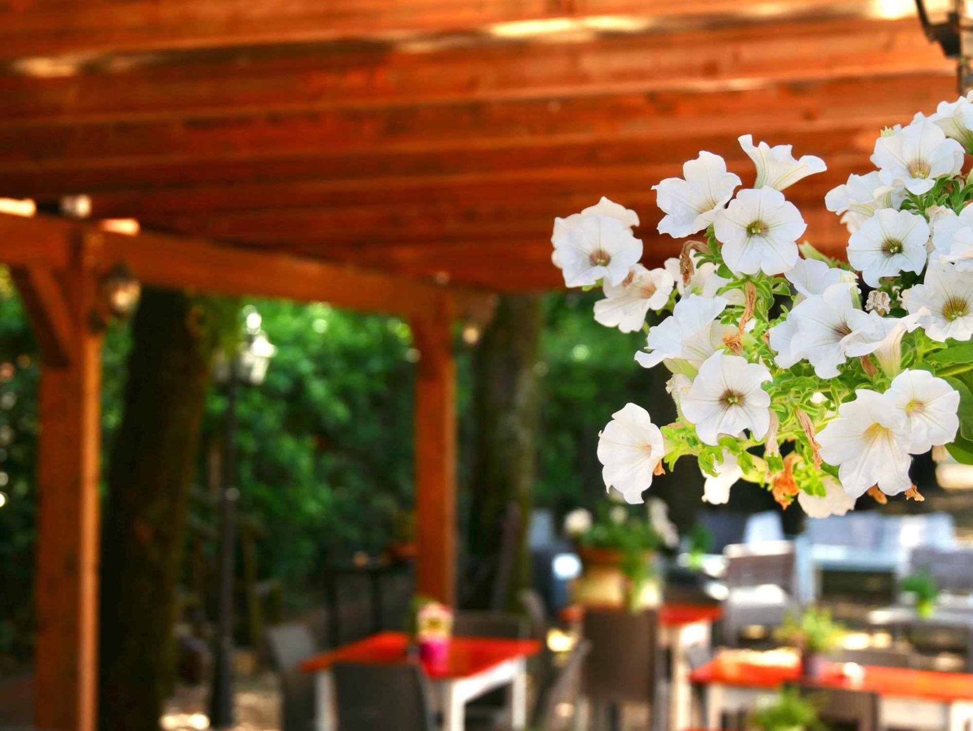 L'Antico Granaio Paliano Bed & Breakfast エクステリア 写真