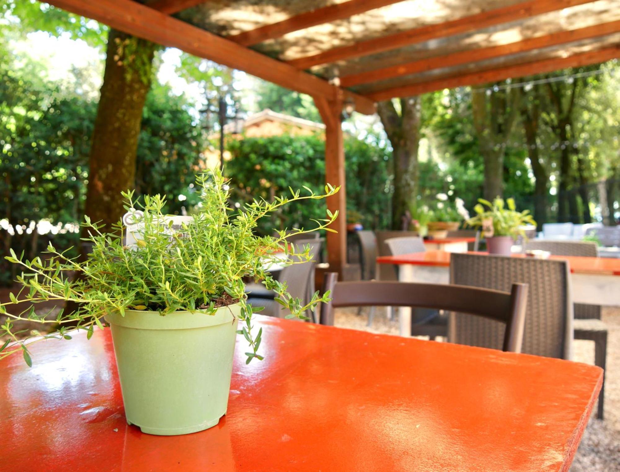 L'Antico Granaio Paliano Bed & Breakfast エクステリア 写真